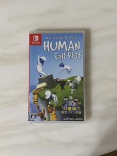 Human Fall Flatのサムネイル