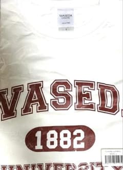 未使用　早稲田大学　カレッジ　Tシャツ ホワイト　L