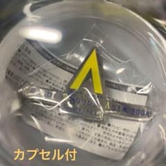 AAA 2008 대만 타이페이 TAIPEI 자석