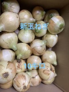 静岡県産　新玉ねぎ　黄玉　10キロのサムネイル