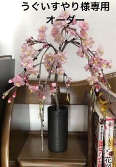 パンフラワー（うぐいすやり様専用）のサムネイル
