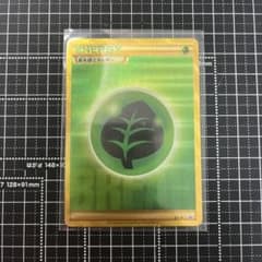 XY-P 基本草エネルギーゴールデンプレゼントキャンペーン PROMO - メルカリ