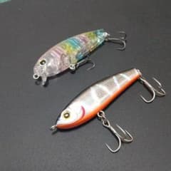ラファエル ゾエアリプルのサムネイル