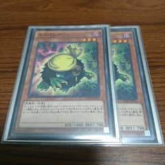 クリバンデット 2枚のサムネイル