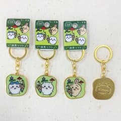 m13182493848_1.jpg?1666003105