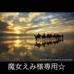 ビバユー 水着のサムネイル