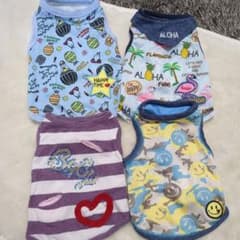 DOTTIE &crazyBooまとめ売りのサムネイル