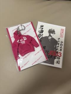 三代目JSB 岩田剛典 パーカーキーホルダー ECHOES of DUALITYのサムネイル