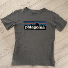 patagonia パタゴニア Tシャツのサムネイル