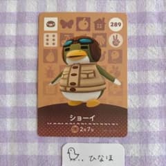매달린 도둑의 숲 amiibo 카드 쇼이