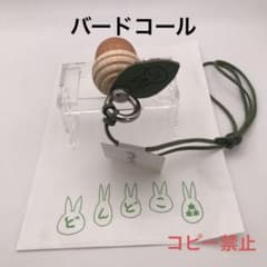 지브리 파크 한정 돈도리 숲 도토리 바트 콜 그린