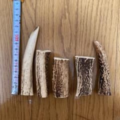 鹿の角 犬用おもちゃ 5本セットのサムネイル