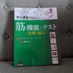 m13259773573_1.jpg?1723364675