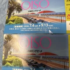 大磯ロングビーチ 入場招待券 2枚 2026年夏季 - メルカリ