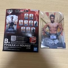 RIZIN 아크릴 스탠드 ROUND2 SHINOBU OTA