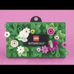 リーヤ ザルチム ファウード ファンゴ アース イベント ガッシュベル
