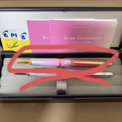 パイロット キャップレス NAGASAWA 雪御所ザクラ シルバー 万年筆 パイロット キャップレス NAGASAWA 雪御所ザクラ 万年筆 金 - メルカリ