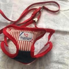 小型犬　ハーネス　リードのサムネイル