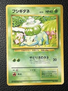 フシギダネ 旧裏 初版 マークなし 第1弾拡張パック - メルカリ