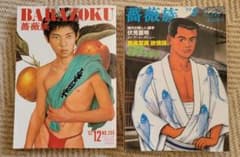 ゲイ雑誌 薔薇族 2002年12月号 1993年08月号のサムネイル