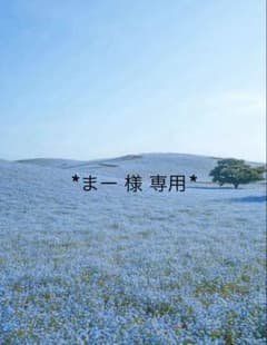 【まー様 専用】ユニバ 貸切パスのサムネイル