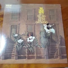 The New Birthレコードのサムネイル