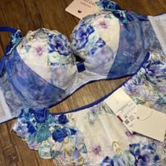 Wacoal パルファージュ ブラジャー ショーツ セットアップ - メルカリ