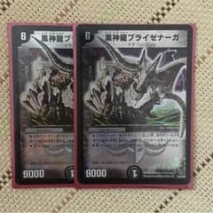 黒神龍ブライゼナーガのサムネイル