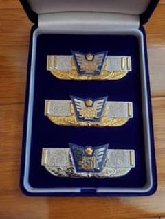 東映ヒーローネット限定 仮面ライダーアギト MPD SAUL 階級章 m13304983467_1.jpg?1756466812