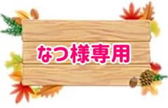 なつ様専用です　インコちゃんの水彩画のサムネイル