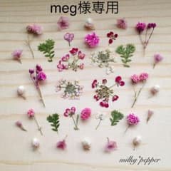 meg様専用 ドライフラワー 押し花 ピンクフューシャミックスのサムネイル
