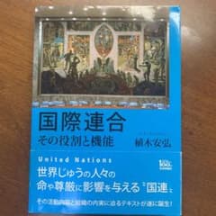 国際連合 その役割と機能のサムネイル