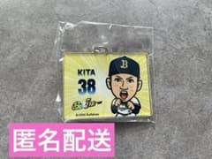 m13323947845_1.jpg?1710055719