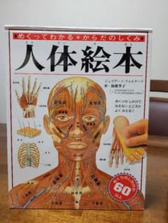 人体絵本 : めくってわかるからだのしくみのサムネイル