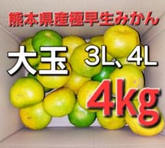 熊本県産極早生みかん　大玉　4㎏のサムネイル