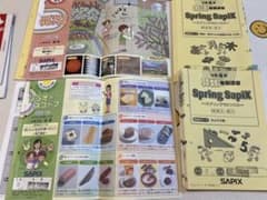 SAPIX 小学4年 春期講習 Spring Sapix - メルカリ