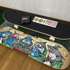 Twenty2 ディープマウンテン スケートボード スケボー コンプリート