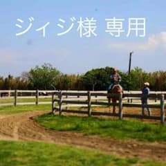 コーチ ハンドバッグのサムネイル