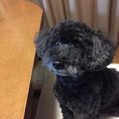 ゆり様☆専用 バーバーリーのサムネイル