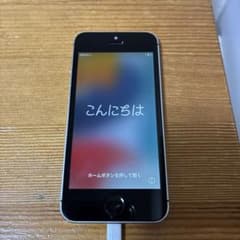 Apple iPhone SE（第1世代） シルバー 本体のみのサムネイル