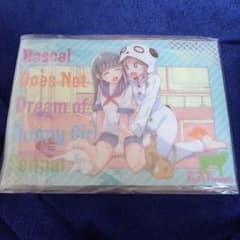 Ntype BUNNY A GIRL! C95 파랑 돼지 미조구치 케이지 상품 세트