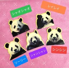 上野動物園 シャオシャオ レイレイ ステッカー シャンシャン 上野