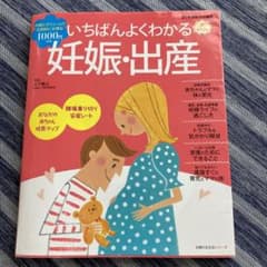 いちばんよくわかる妊娠・出産 : 妊娠がわかった日からお産本番、産後まで快適に…のサムネイル