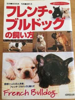 フレンチブルドッグの飼い方のサムネイル