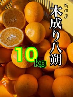 和歌山産有田の木なり八朔SM混合10キロのサムネイル
