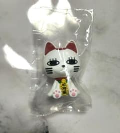 단다단 지토토 JIToT 터보바바아