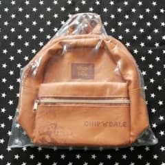 ★お値下げしました★リュック　ディズニー　チップ&デールのサムネイル
