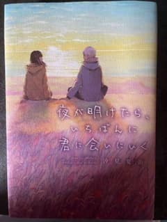 夜が明けたら、いちばんに君に会いにいく 汐見夏衛のサムネイル