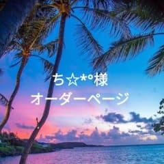 ち☆*°様ご専用ページのサムネイル