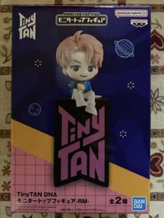 TinyTAN DNA モニタートップフィギュア RM